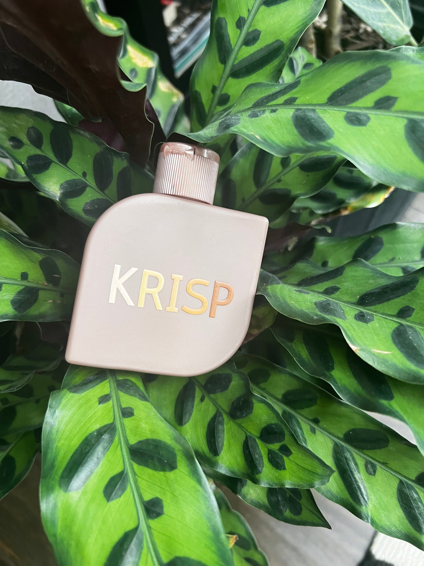 KRISP tanning oil for women